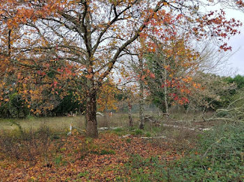 propriété à Gaillan-en-Médoc (33)