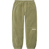 polartec® pant fw21