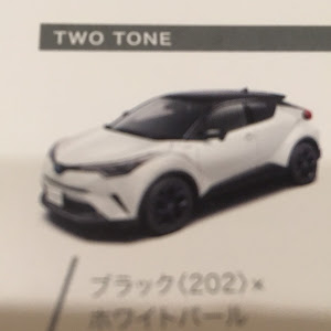 C-HR ZYX10