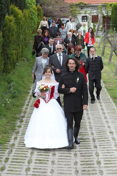 Wedding photographer Zoltán Füzesi (moksaphoto). Photo of 19 February 2015