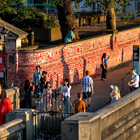 Passeggiata al muro del covid: La vita e la morte di 