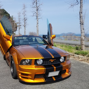 マスタング コンバーチブル V8 GT