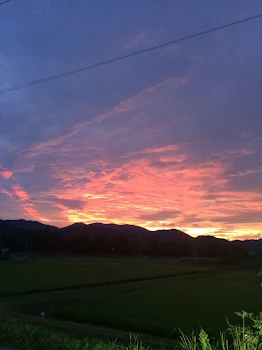 今日からあなたには人質になってもらいます