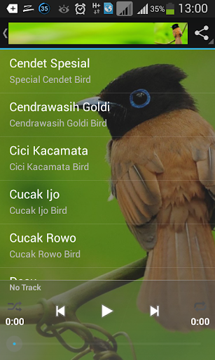 Kicau Burung