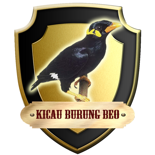 App Insights Kicau Burung Beo Apptopia