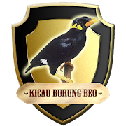 Kicau Burung Beo  Icon