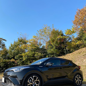 C-HR ZYX10