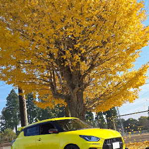 スイフトスポーツ ZC33S