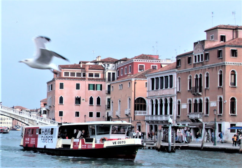 i trasporti a venezia di pilotto