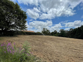 terrain à Saint-Maixent-sur-Vie (85)