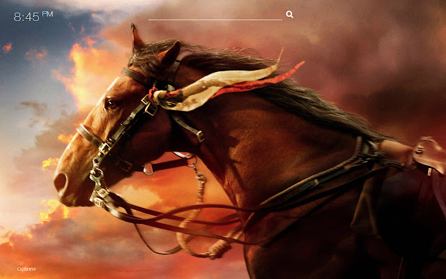 HD Horses wallpapers for a new tab