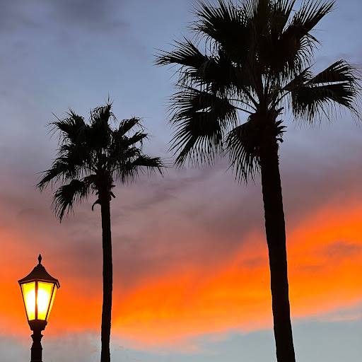 ✨🌴もっち🌴✨のプロフィール画像