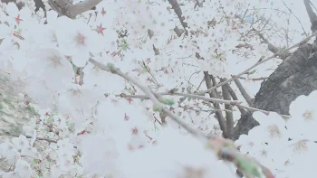 彼氏は友達を妊娠させた 最終話