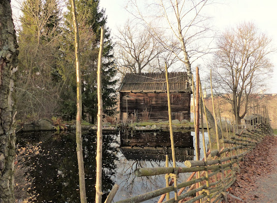 Bosco fatato di Rosa