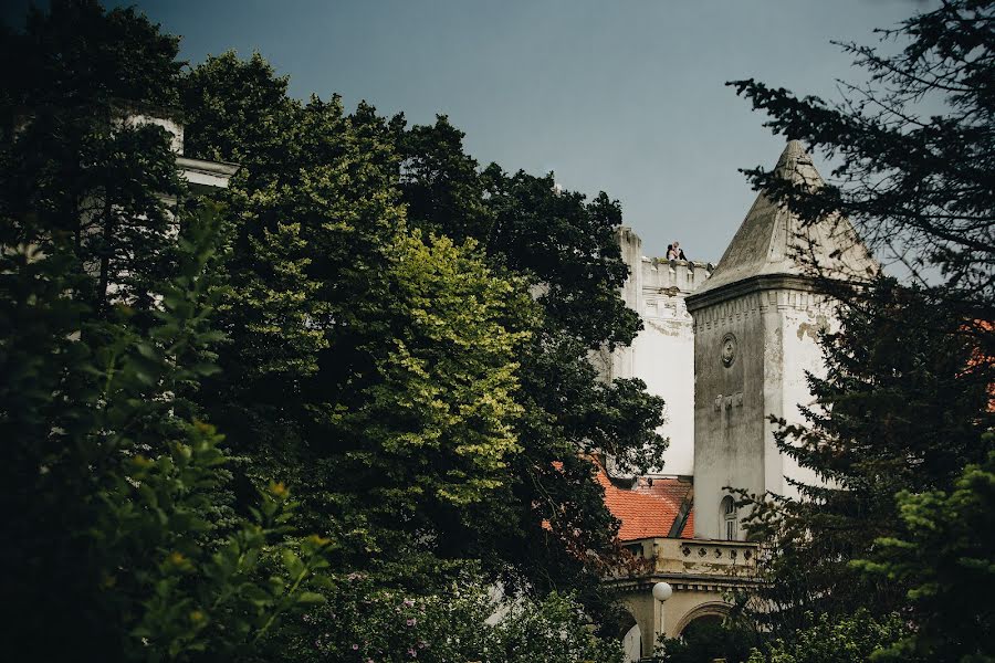 Svadobný fotograf Slađana Danna (dannasladjana). Fotografia publikovaná 26. júla 2018