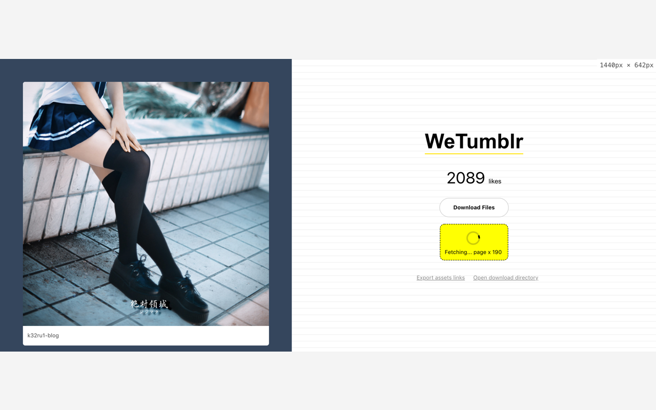 WeTumblr Preview image 0