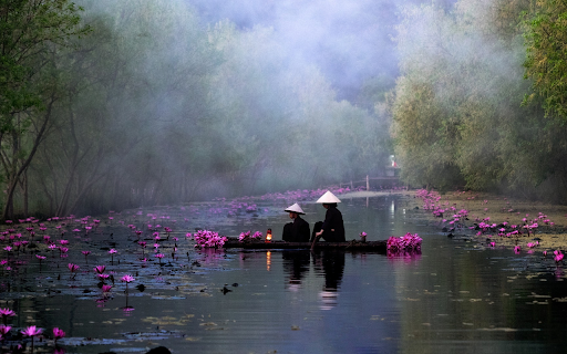 Picking flowers early in the morning screenshot 1