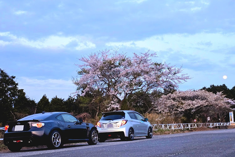 ヴィッツのドライブ・筑波山、朝日峠駐車場🅿️・桜コラボ・BRZに関するカスタム事例の投稿画像2枚目