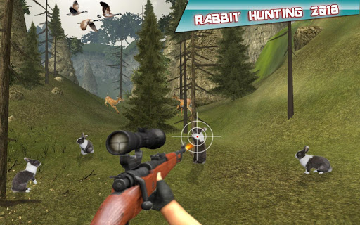 Screenshot Rabbit Hunting Challenge