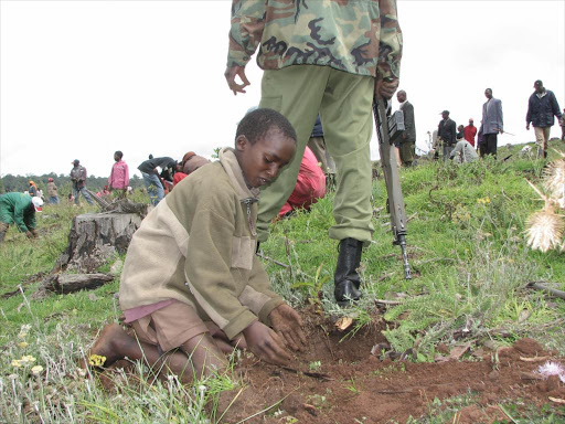 Children plant trees in Mau Forest.