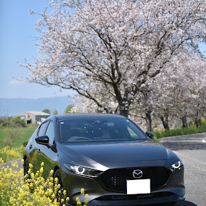 MAZDA3 BP5P