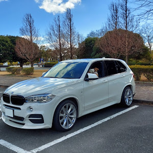 X5 F15