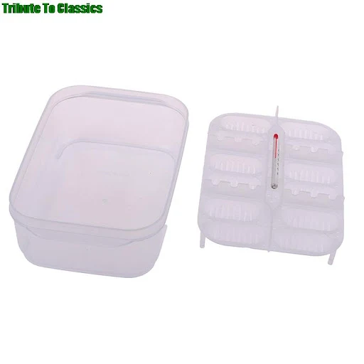 Practical Plastic 12 Grids Plastic Reptiles Egg Incubator Tray Lizard Snake Eggs Hatcher Box Incubation Tool Terrariums 