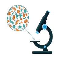 Medical Microbiology  Immunology