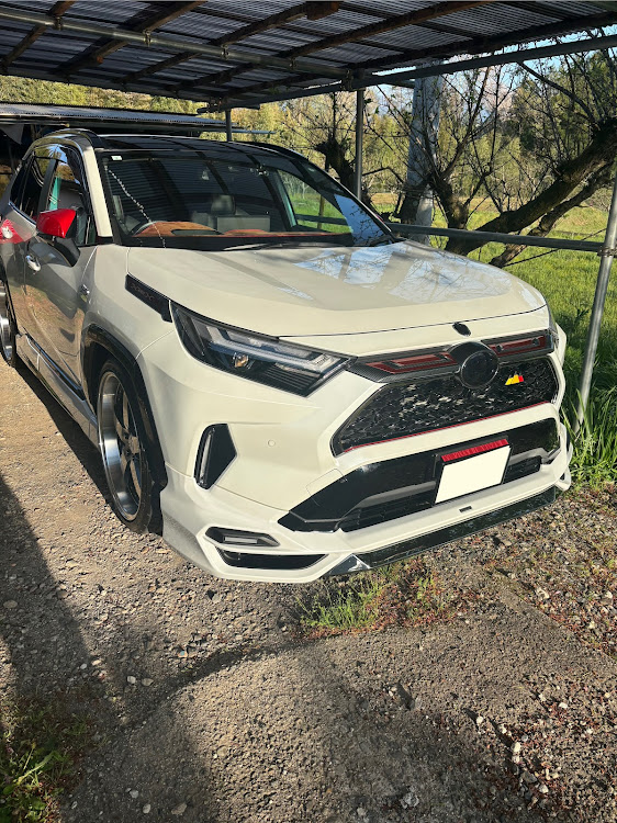 RAV4のRAV4meetinginShigaに関するカスタム事例の投稿画像1枚目