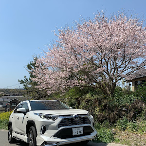 RAV4 AXAH54