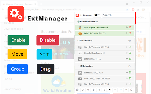 ExtManager