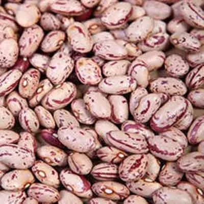 Starfresh Rajma Chitra 500 Gm