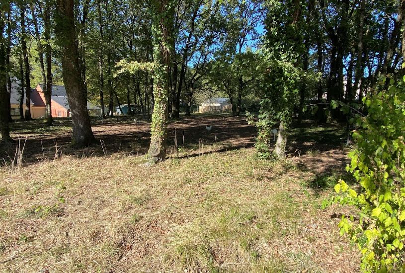  Vente Terrain à bâtir - 1 353m² à Saumur (49400) 