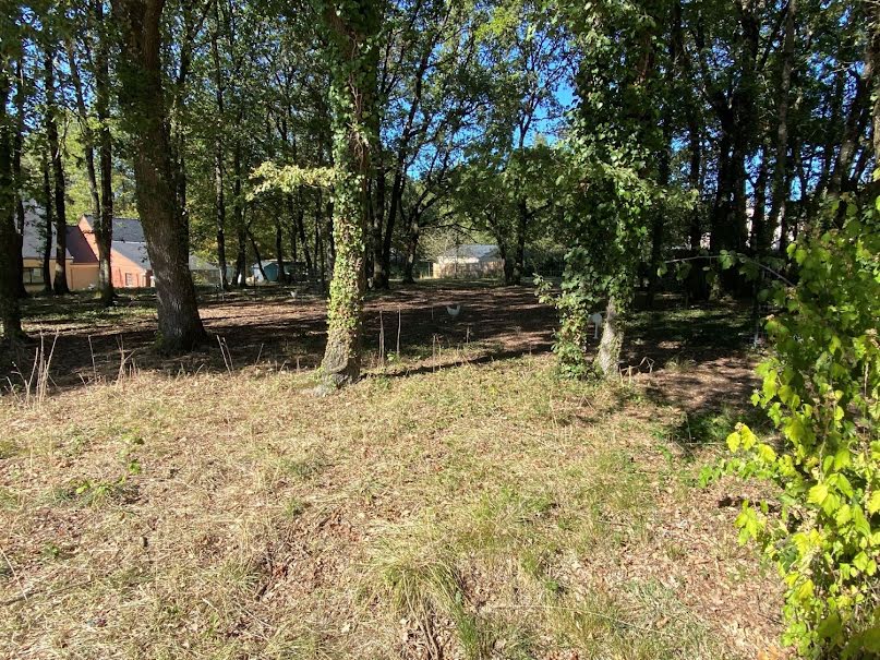 Vente terrain  1353 m² à Saumur (49400), 50 700 €