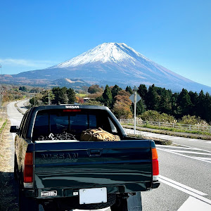 ダットサントラック 4WD