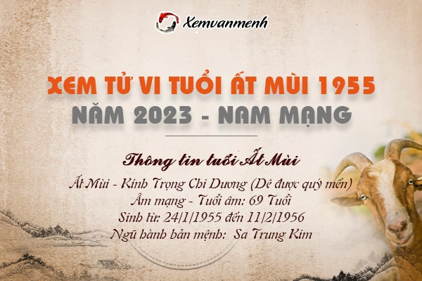 Tử vi tuổi Ất Mùi nam mạng năm 2023 