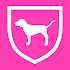 PINK Nation8.5.0.369
