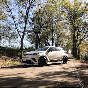 C-HR NGX50