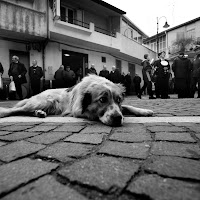 La mascotte del Paese di 