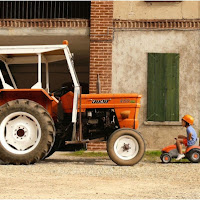 Nella vecchia fattoria di 