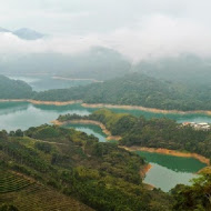 八卦茶園