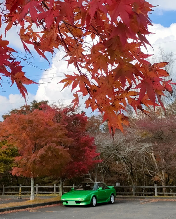 MR2の11月11日はスーパーAW11の日・紅葉ドライブに関するカスタム事例の投稿画像3枚目