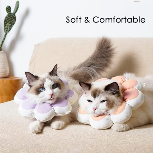 Title 1, Cat Recovery Cone Collar Pet E-Collar Elizabeth...