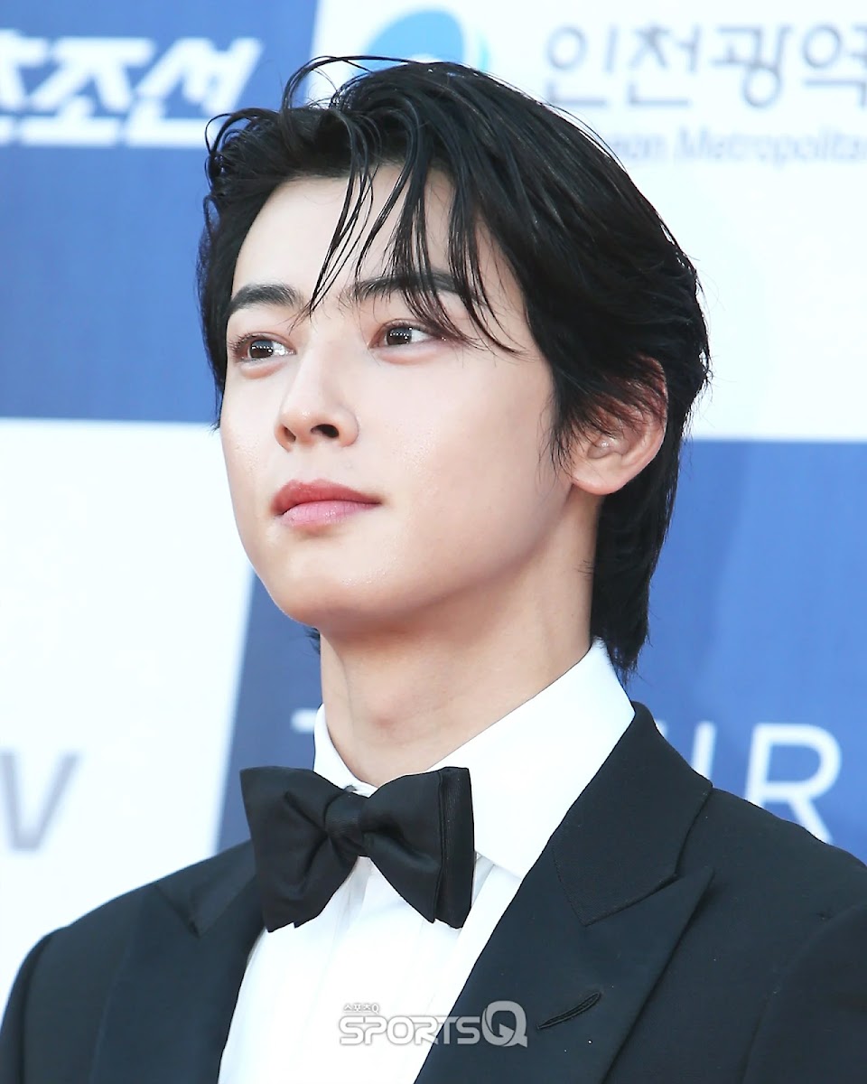 Here's What Cha Eunwoo Actually Looks Like In Real Life - Koreaboo