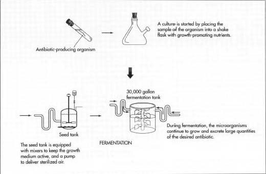 adv chem 5.1.jpg