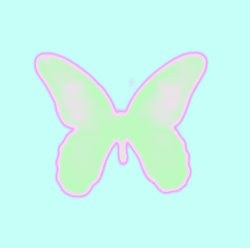 CryptoButterfly 3