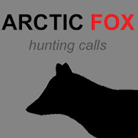 Arctic Fox Hunting Calls  Predator Calls