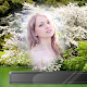 Download Blossom Flowers Photo Frames For PC Windows and Mac 1.0