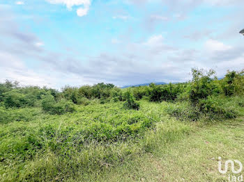 terrain à Saint-Louis (974)