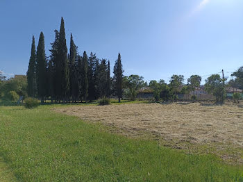 terrain à Puget-sur-Argens (83)